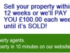Property Wikia: The Largest International Real Estate Directory; Sell your property within 12 weeks or we’ll PAY YOU $164 each week until it’s SOLD!